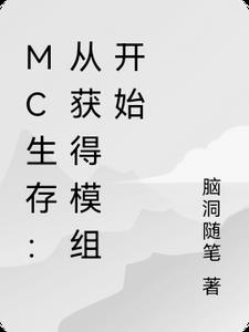MC生存:从获得模组开始